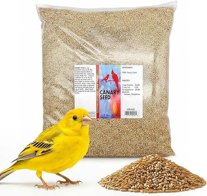 Morning Bird Canary Seed 9 lbs, Nutrient-Rich Bird Seed, Creamy Golden Grain Powerhouse - Supports Healthy Feathers & Strong Bones – Natural Daily Nutrition for All Bird Types