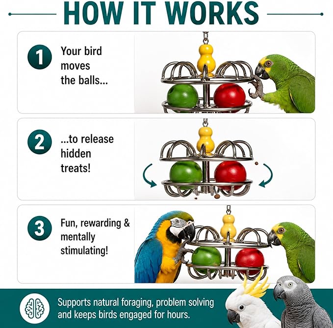 Bird Toys for Large Birds (Impossiball) Stainless Steel Foraging Treat Dispenser for Macaws, Cockatoos, Parakeets & Parrots | Durable Cage Accessory for Enrichment & Mental Stimulation