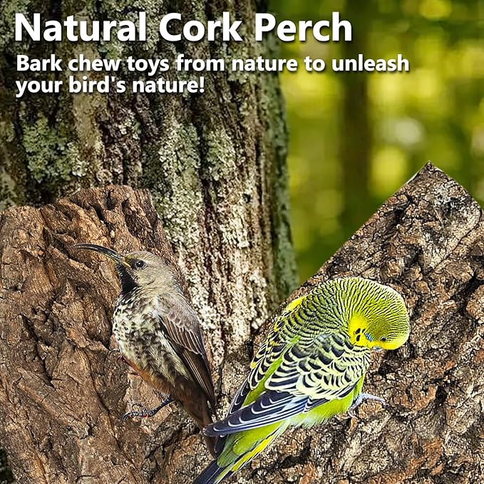 Cork Bark Perch for Birds 12"x8" Natural Cork Chewing Toy 2 PCS Flat Budgies Bark Seat Board Wood Bark Background Decor Panel Birdcage Accessories for Parakeet Lovebirds Cockatiels Conures