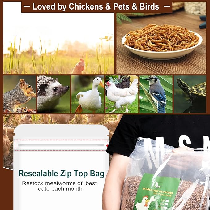 Non-GMO High-Protein Large Dried Mealworms for Chickens, Natural Grubs and Poultry Treats as Chicken Feed,Duck Food, Wild Birds Seed,Fish Food,Reptile Food,Amphibian Food(Mealworms-6LB)