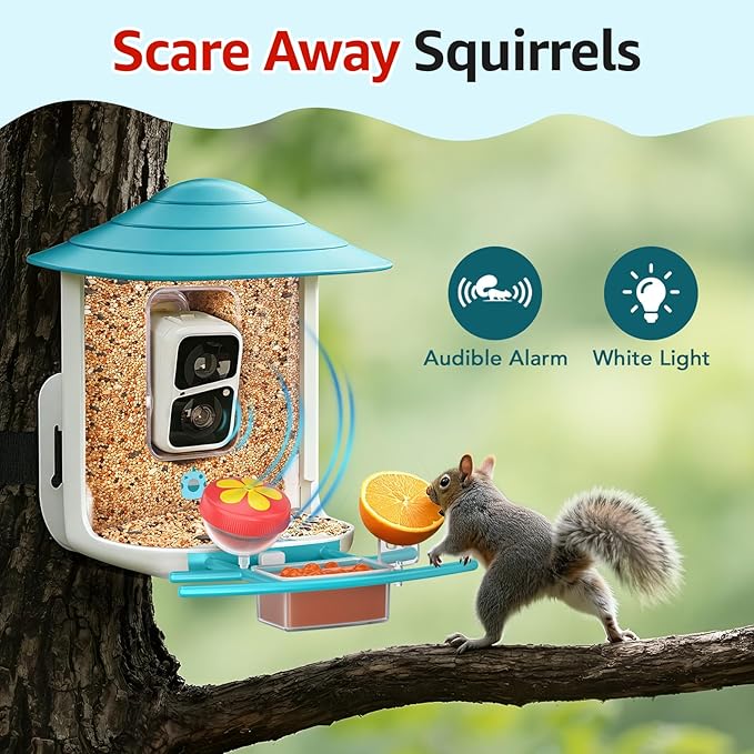 birdsnap® TUC Bird Feeder with Camera 2K HD Live with 32GB Card Auto Detect & Notify AI Identify Camera Birds Feeders Solar Powered Wireless Outdoors Backyard Gift for Mom Dad Birds Lover, 2.4G WiFi