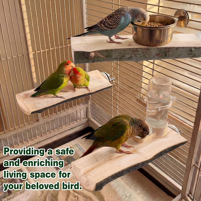 Saillong 3 Pack Natural Wood Bird Perch, Parrot Platforms Stand, Comfortable Resting Perch for Eating, Drinking & Foot Health, Chewable Standing Cage Accessories, for Parakeet, Cockatiels, Lovebirds
