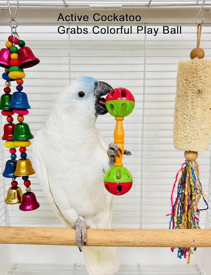12 Pcs Bird Toys Colorful Chew Ball Toys with Bells for Small Medium Pet Birds Parakeets Cockatiels