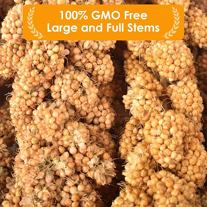 KATUMO 1.1LB Spray Millet Treat for Birds, Natual Sun-Dried Bird Millet Parrot Food for Parakeet Budgie Cockatiel Finches Lovebird Conure Parrots Hamster