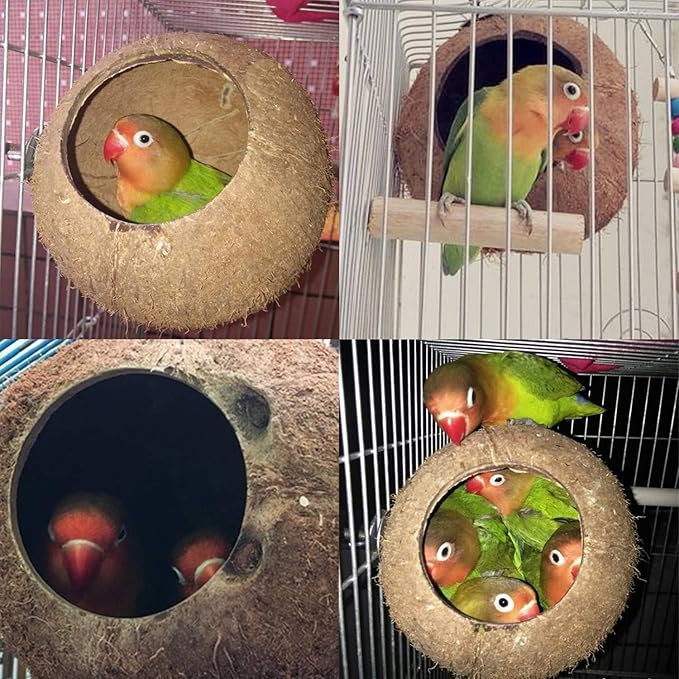 YJJKJ Pet Bird Natural Coconut Shell Bird House Parakeet Budgie Cockatiel Finch Sparrows Breeding Nesting Bird Aviary Cage Box Anti-Pecking Bite (Diameter:4.3")