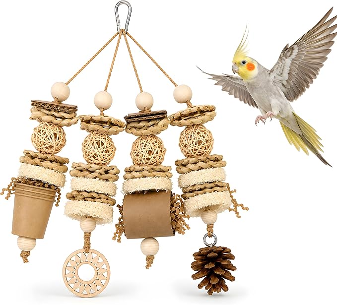 Bird Foraging Toy Parakeet Enrichment Puzzle Parrot Foraging Toys Loofah and Pine Cone Chew Play for Budgies Cockatiels Conures Quaker Parrot Small to Medium Birds