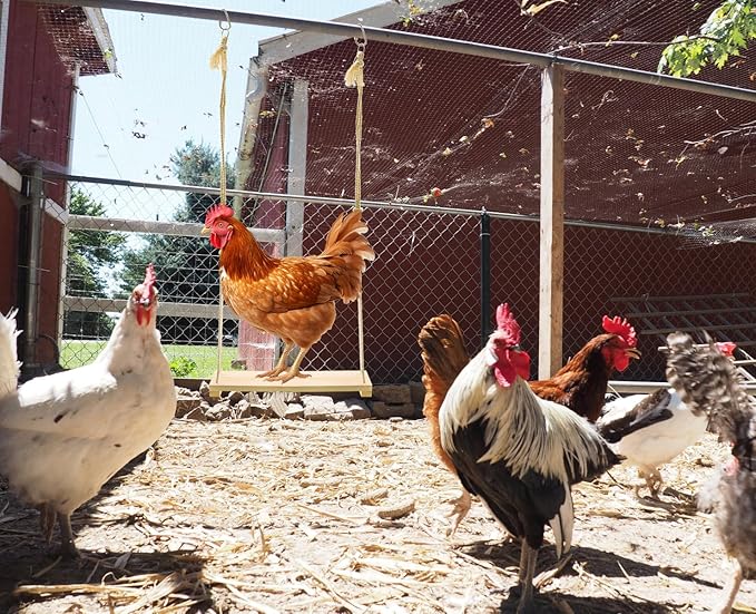 Chicken Swing Toy, 2 Pack Chicken Toys, Wood Chicken Swing Toy, Wood Chicken Swing for Chickens Rooster Poultry Parrots
