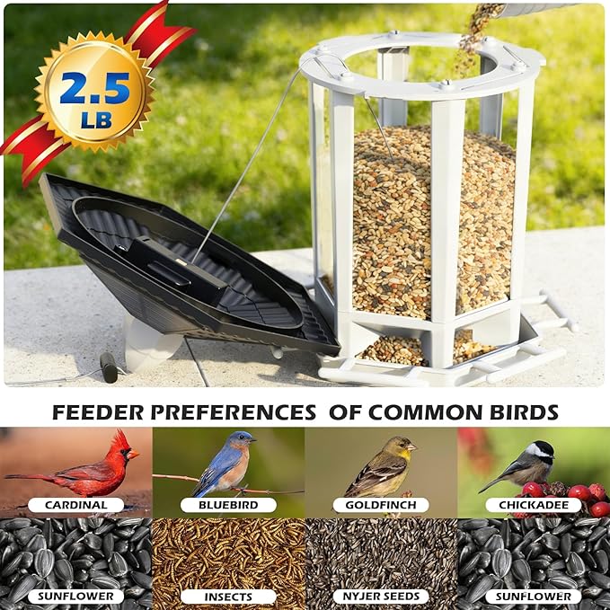 Birdream Solar Bird Feeders for Outdoors Hanging, Assembly Required, 1-Min Easy Setup, Wild Seed Feeders for Cardinals Chickadees and Finches