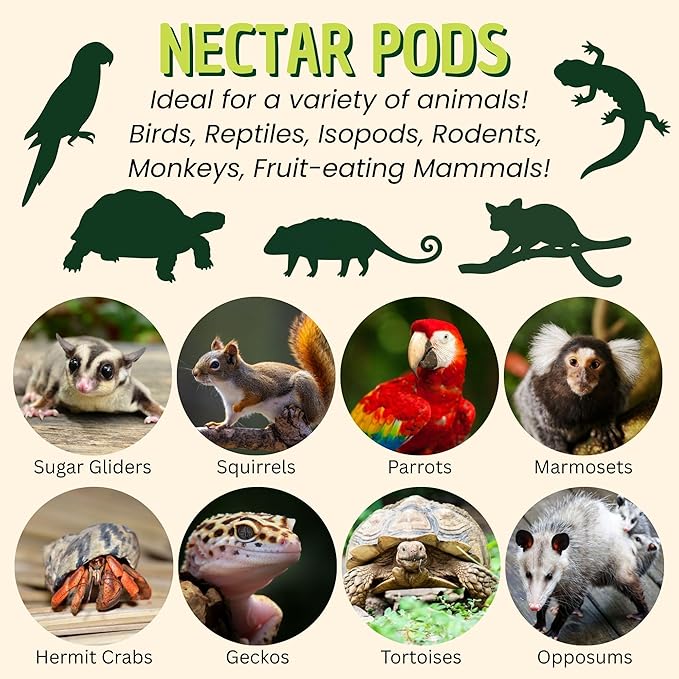 Nectar Pods (Melon) - Calcium-Fortified Jelly Fruit Treat - Sugar Gliders, Marmosets, Squirrels, Parrots, Cockatiels, Parakeets, Lovebirds, Conures, Hamsters, Day Geckos, Kinkajous & Other Small Pets