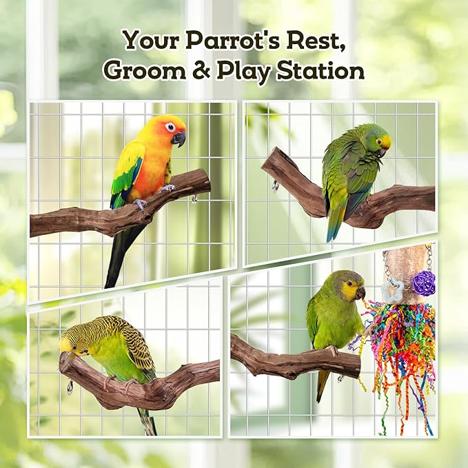 Bird Toys, Parakeet Foraging Toys, Hanging Chewing Toys with Natural Wooden Perches, Bird Cage Accessories, Suitable for Parakeets, Cockatiels, Budgies, Lovebirds & More