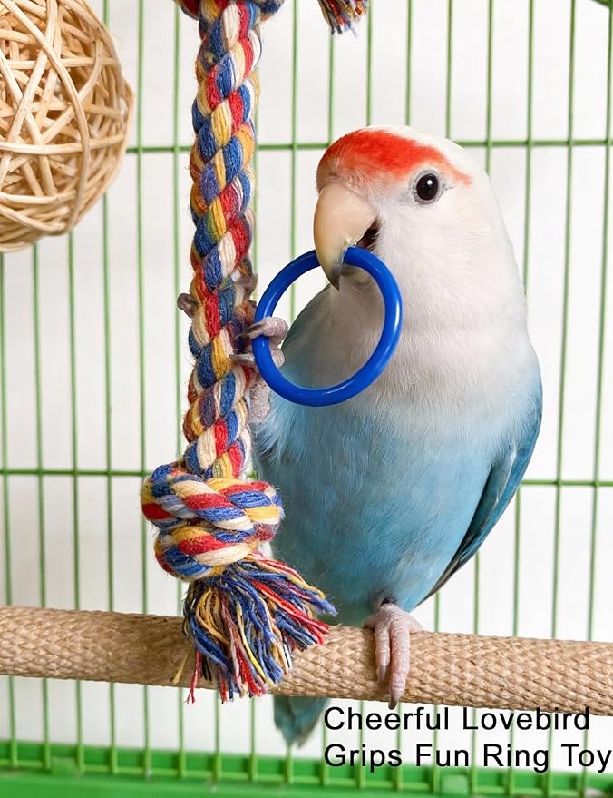 12 Pack Bird Toys Safe PP Plastic Foot Toys Rattle Balls for Parrots Lovebirds Conures Finches