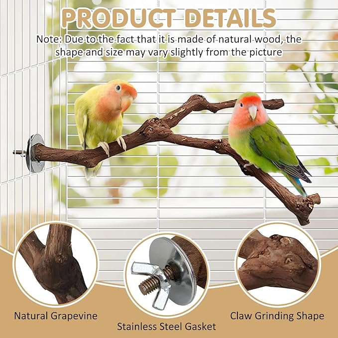 PINVNBY 3 Sizes Natural Parrot Perch Grape Wood Bird Stand Pole Parakeet Paw Grinding Fork Chewable Climbing Branches Toy Bird Cage Accessories for Budgies Conures Cockatiels Lovebirds