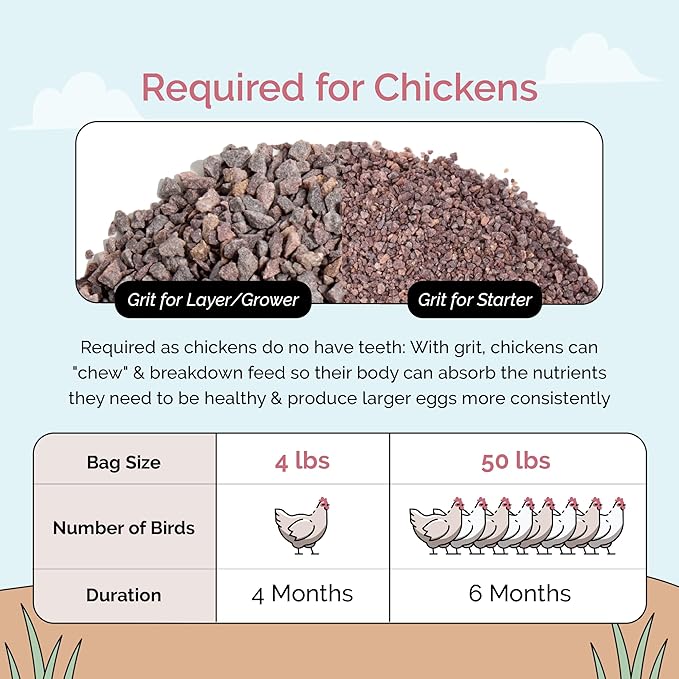Mile Four Chicken Grit (50 lbs) for Layer & Grower Chickens Age 8-20+ Weeks - 100% Natural Mineral Chicken Grit Quartzite, Poultry Grit, USA Mined