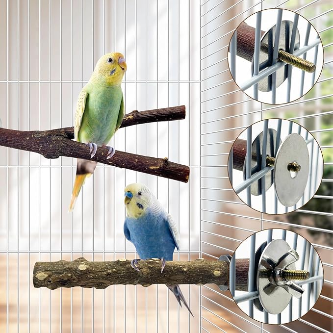 BNOSDM 5PCS Bird Perches Stand with Mirror Parrot Natural Wood Stick Perches Forked Perch Branch Parakeet Toy Set Bird Cage Accessories for Budgie Cockatiel Conure Finch Lovebird