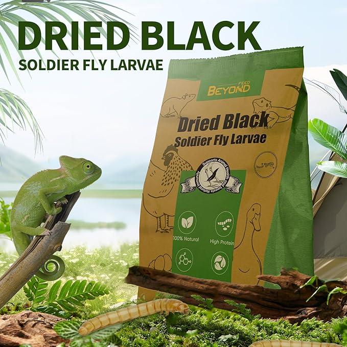 BeyondFeed™Small Bottle Dried Mealworms & Black Soldier Fly Larvae High-Protein Feed for Chickens, Ducks, Birds, Reptiles, Fish, Hamster, Turtles (6 (1.23 oz/35 g) Bottles Bundle, Dried BSF)