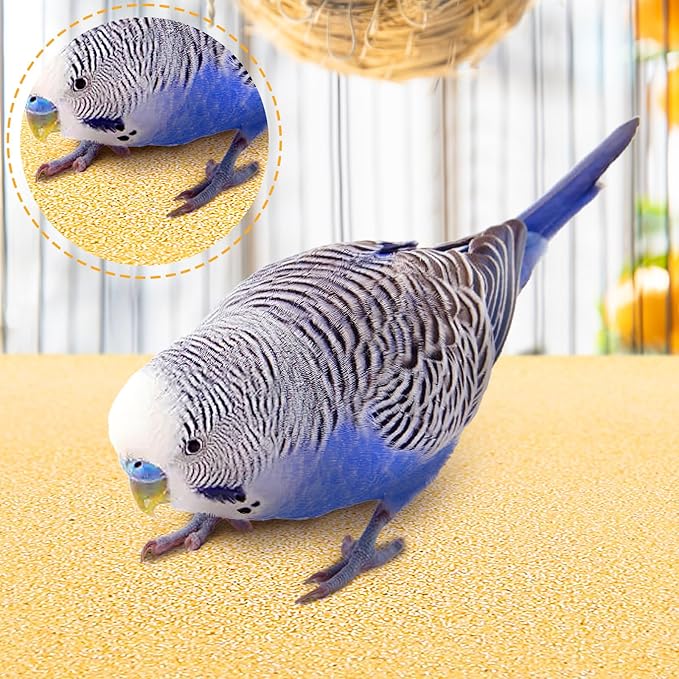 Okllen 50 Pieces Gravel Liner Paper for Bird Cage, 11 x 17 inch Birdcage Liner Pet Bedding Accessories, Parrot Cage Sandpapers