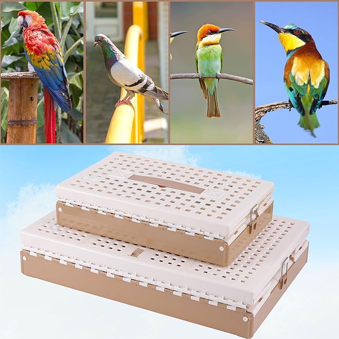 Plastic Foldable Pigeon Cage with Handle, Portable Bird Travel Carrier Cage Pigeon Cage Pairing Cage Pigeon Nest Box Easy to Clean for Training and Release Competition(M)(Three Doors)