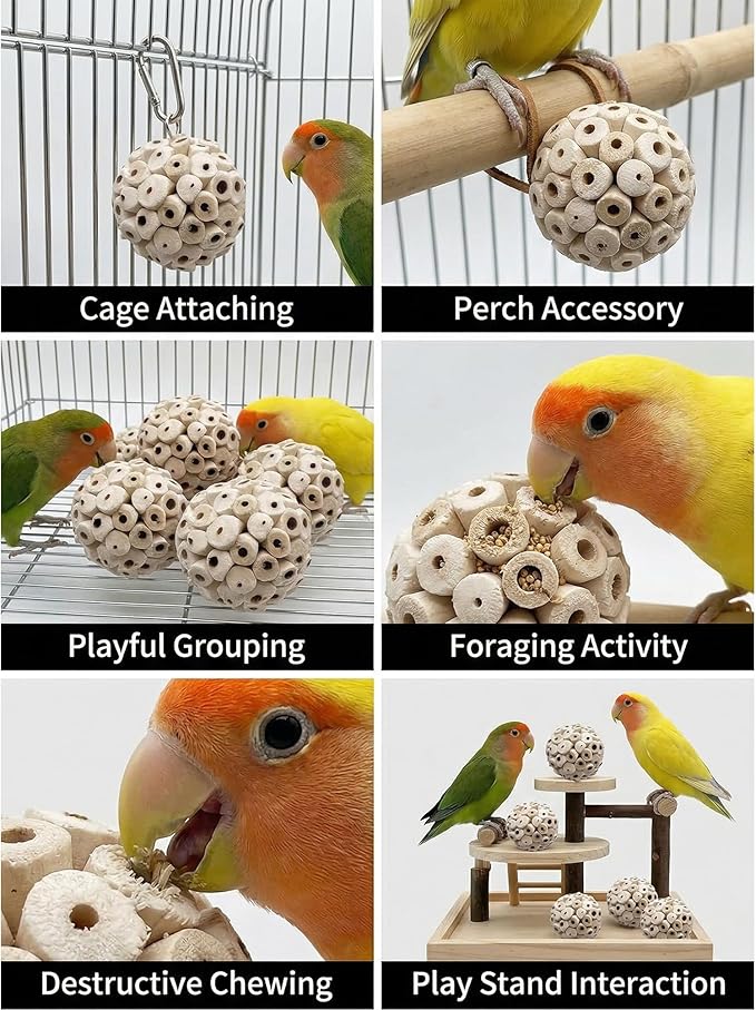 6PCS Sola Ball Bird Toys Bird Foraging Toy Natural Sola Plant Material for Small Birds Parakeets,Conure,Love Birds and Hamsters Small Pets,2.36inch Natural Sola Atta Balls for Pet Chew Toys