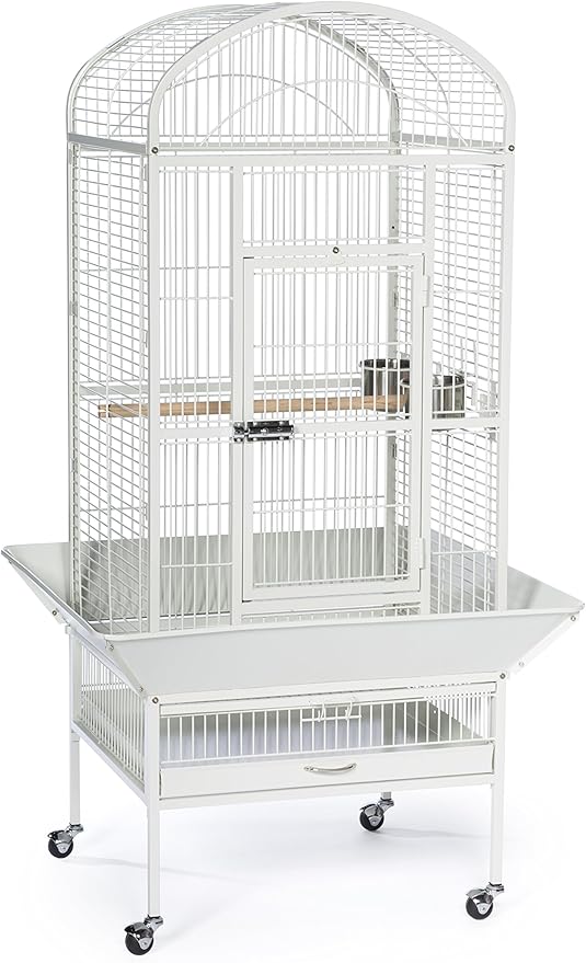 Prevue Pet Products Large Dome Top Bird Cage - Medium Steel Cage with Casters, Dual Locks, Seed Guards, and Perches, Ideal for Cockatiels, Conures, and Similarly Sized Birds - Chalk White