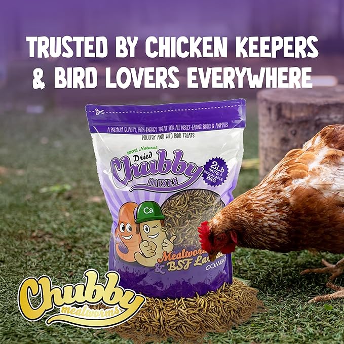 Chubby Mix Mealworm & Black Soldier Fly Larvae | 6 lbs | Non-GMO High-Protein Dried Insects for Chickens, Ducks & Wild Birds – Calcium-Rich Chicken Treats