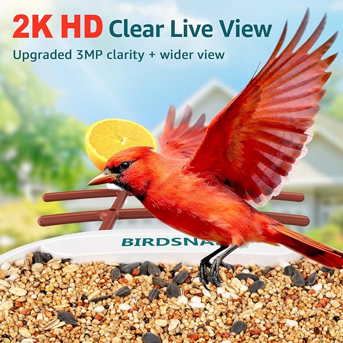 birdsnap® TUC Bird Feeder with Camera 2K HD Live with 32GB Card Auto Detect & Notify AI Identify Camera Birds Feeders Solar Powered Wireless Outdoors Backyard Gift for Mom Dad Birds Lover, 2.4G WiFi