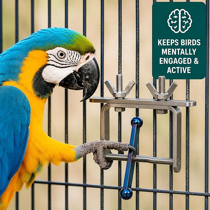 Bird Toys for Large Birds (Blue Spinner) Stainless Steel Bird Toy with Traveling Spinner | Macaw Toys | Durable Puzzle Enrichment Toy for Medium to Large Birds Cockatoos Parrot | Bird Cage Accessories