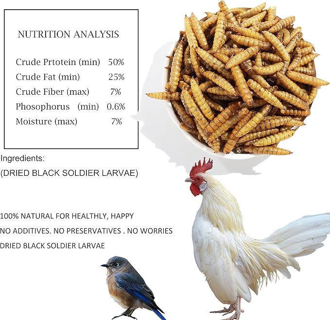 Non-GMO High-Protein Large Dried Black Soldier Fly Larva for Chickens, Natural Grubs and Poultry Treats as Chicken Feed,Duck Food, Wild Birds Seed,Reptile Food(Black Soldier fly-6LB)
