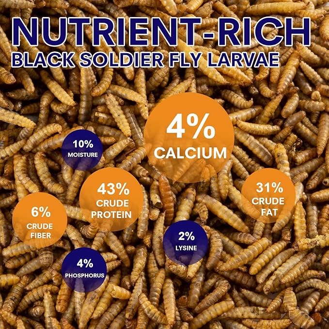 10lbs Dried Black Soldier Fly Larvae for Chickens - High Protein Chicken Food 100% Natural - BSF Larvae More Calcium Than Dried Mealworms, Chicken Treats for Laying Hens Ducks Birds