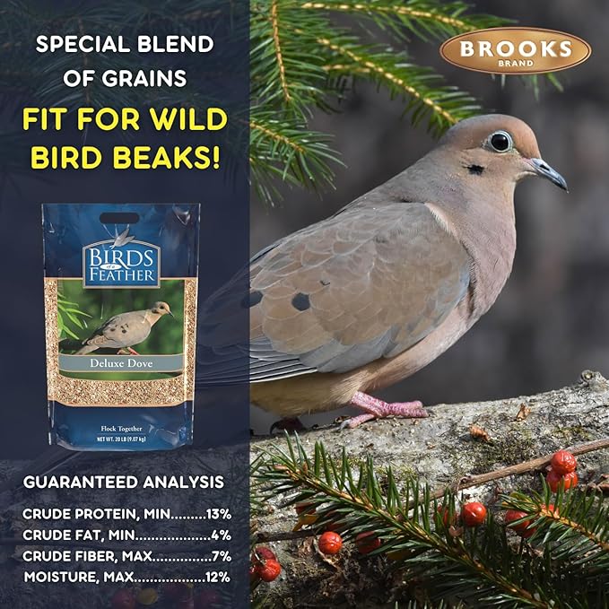 Brooks Brand Birds of a Feather Deluxe Dove Food, Pigeon Food, Mourning Dove Outdoor Bird Seed, Dove Bird Seed, Comida para Palomas, Made in USA (20 Pound (Pack of 1))