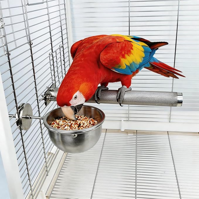 AOTU Anti Tip Stainless Steel Parrot Feeding Cups - Locking Bird Food & Water Bowls for Cage, Bird Cage Accessories for Cockatiel, Conure, Budgie, Macaw, Gray Parrot & Small Pets (L)