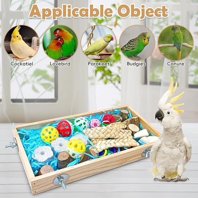 BNOSDM Bird Foraging Toys Box Colorful Parrot Foraging and Shredding Toy Boxes Natural Bird Toy Wooden Birds Chewing Toys for Parakeet, Conure, Cockatiel, Budgies, Lovebirds (Large)