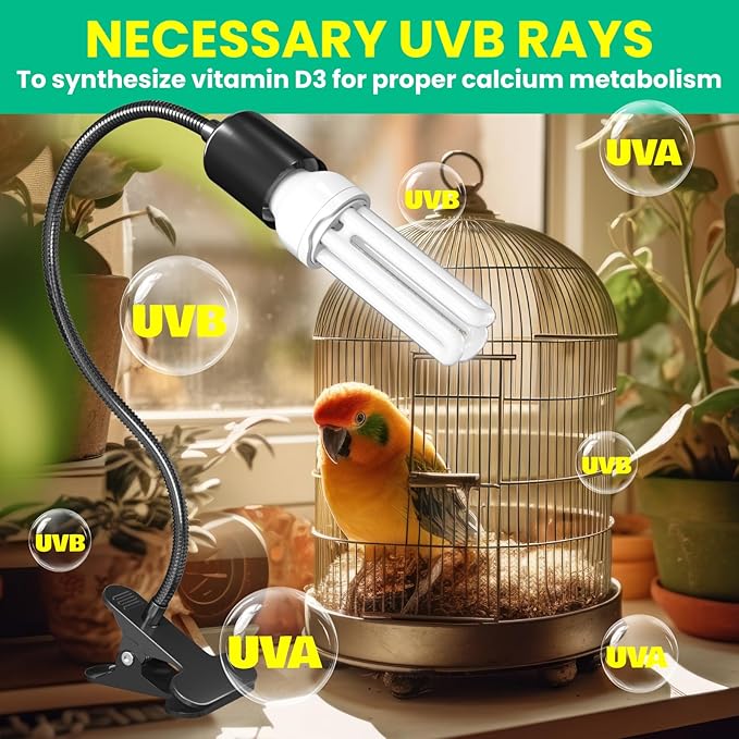 GlowUp Bird Light for Cage with Timer, Clip Lamp with UVB 2.4 Fluorescent Light Bulb E26, Bird Cage UVB Light Combo Kit 360°Rotatable for Captive Birds, Reptiles