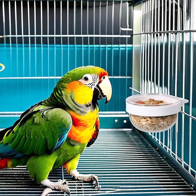 6 Pack Detachable Transparent Bowls Convenient Hanging Seed Water Feeder Bird Food Bowl Plastic Cage Feeder Cups for Parakeet Small Size Birds