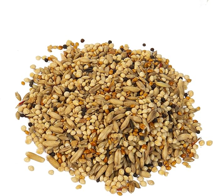 Wild Harvest Molting Supplement 7.5 Ounces, for All Birds, Supports Colorful and Healthy Plumage (1 Case of 12 Packs) (P-99268-1)
