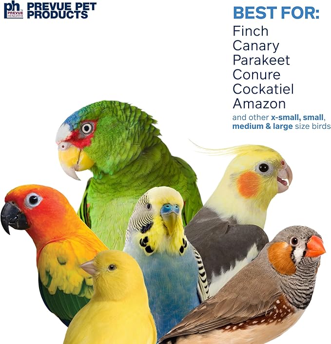 Prevue Pet Products Calypso Creations Fiesta Handbag Bird Toy - Cage Accessories for Parakeets, Conures, Cockatiels, Finches, and Small to Medium Birds, Toy for Shredding, Tugging, and Beak Enrichment