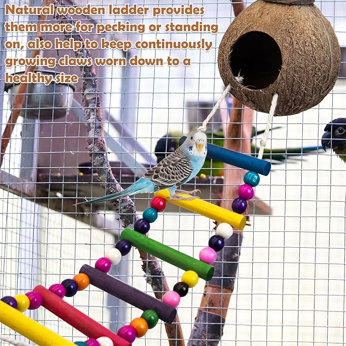 PINVNBY Hanging Coconut Bird Nest Hut with Ladder, Natural Coconut Hide Lovebird House and Colored Bead String Bird Swing for Parakeet Cockatiel Budgie Conure Canary Finch Budgies (With Coconut Fiber)
