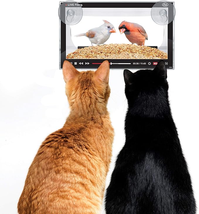 Genuine Fred Live Feed Bird Feeder, Clear