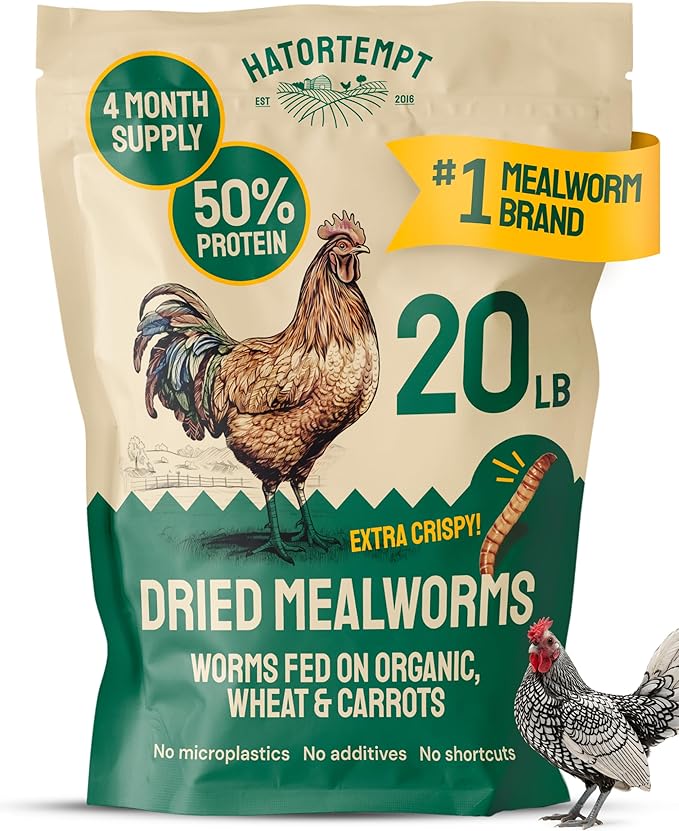 Hatortempt Bulk Dried Mealworms - 20 Lb Bag - Dried Mealworms for Chickens, Ducks & Wild Birds - High-Protein Chicken Feed & Bird Food
