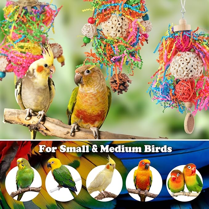 Bird Toys, Parakeet Foraging Toy, Hanging Chewing Toy, Bird Cage Accessories – Suitable for Cockatiels, Budgies, Lovebirds, Conures and Other Small Parrots