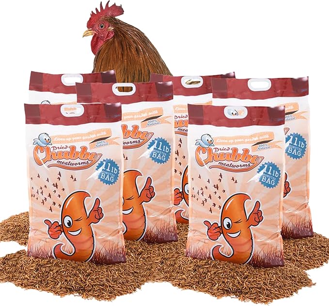 Chubby Dried Mealworms | 66 lbs | High-Protein Non-GMO Treats for Chickens, Ducks, Wild Birds, Reptiles & Backyard Pets