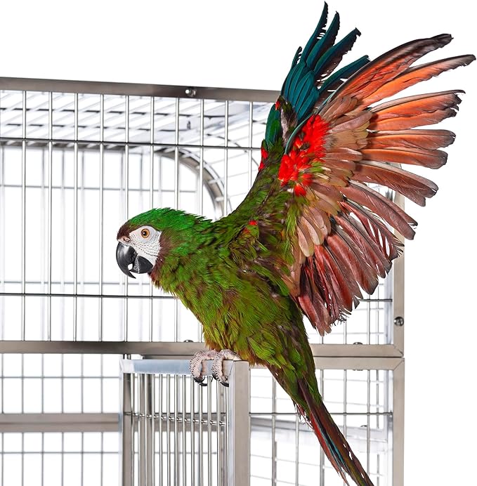 Prevue Pet Products Imperial Extra Large Stainless Bird Cage - Big Birdcage Ideal for Parrots, Cockatoos, Macaws, Included Perch and Cups, Durable Cage with Wheels - Gray, Extra Large