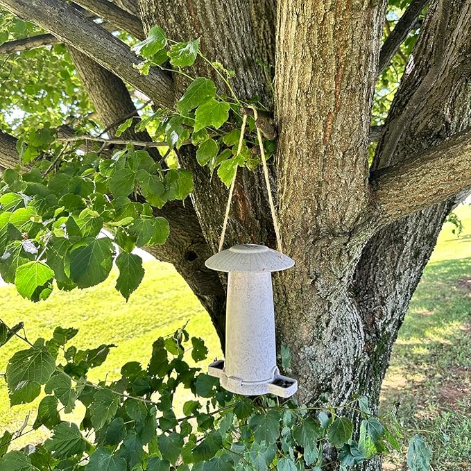 Seed Feeder - Chaff - Sustainable