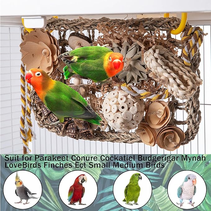 Bird Foraging Wall Toy, Seagrass Woven Climbing Hammock Mat with Chewing Toys,Parrot Shredding Hanging Toys for Cockatiel Lovebird Parakeet Budgie Small-Medium Birds (Large)