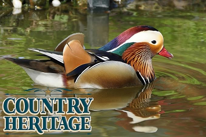 Country Heritage Floating Waterfowl Feed – Duck, Goose & Swan Food – 5 lb Resealable Bag – Nutrient-Rich Pellets for Wild & Pet Birds