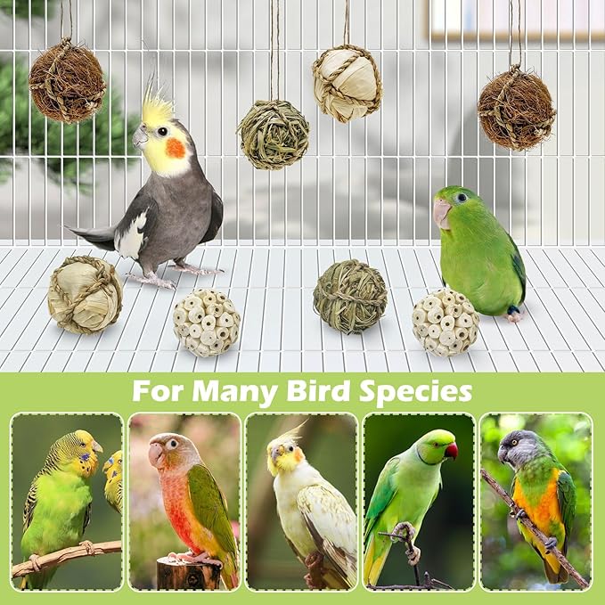 BNOSDM 8PCS Natural Bird Chew Toys Lightweight Conure Foot Toy Sola Balls Shred Toy Interactive Parrot Foraging Toys Bird Chew Balls with Hemp Rope Hook for Budgies Cockatiels Parakeets Senegal