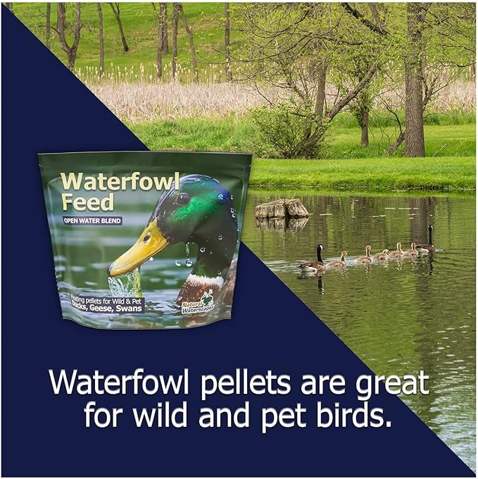 Natural Waterscapes Waterfowl Feed 20 lb Bag | Floating Pellets for Duck, Swan, Goose | for Wild and Pet Ducks