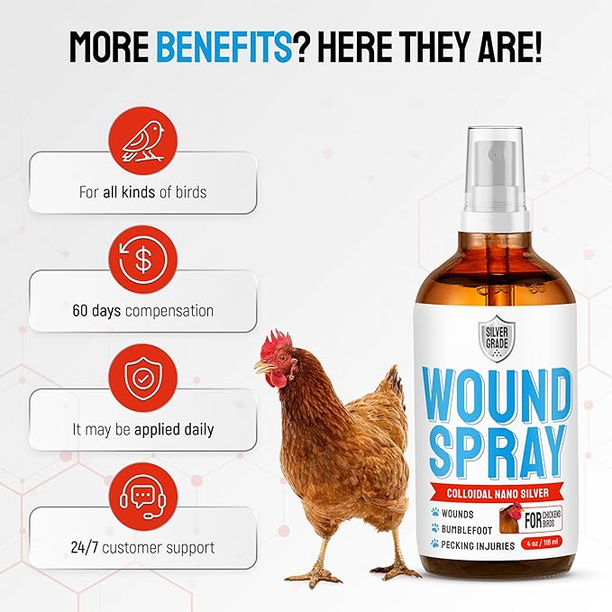 SILVER GRADE Wound Spray for Chicken – Birds & Chicken Antibiotics Alternative to Help with Pecking Sores, Bumblefoot, Cuts – Poultry Spray with Silver – GMOs Free – 4-Oz Bottle