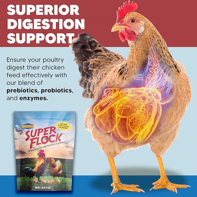 Super Flock Pro Boost Probiotic - Probiotics, Vitamins, Minerals and Electrolytes for Chickens | Chicken Vitamins and Supplements for All Poultry + 1lb