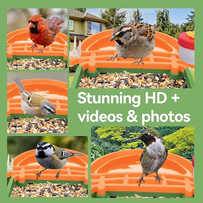 Smart AI Bird Feeder with Camera,2.5K HD Live View,Solar Powered,Instant Birds Species Recognition,Real Time Alerts,Wireless Birdhouse with Night Vision,Ideal Gift,Green