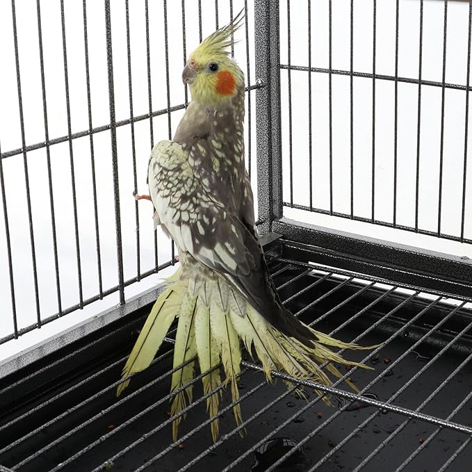 Aviary on Stand Large Bird Cage on Wheels Sturdy Metal for Parrot Parrots 93.5 x 56.5 x 153 cm